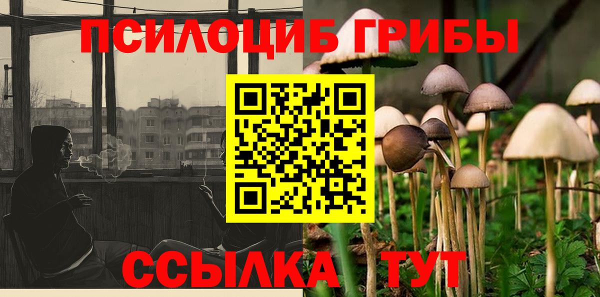 Галлюциногенные грибы мухоморы Дзержинск